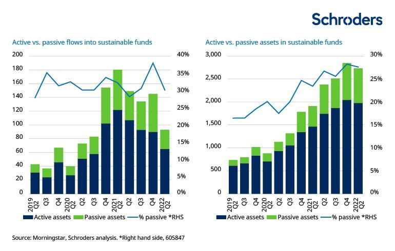 sustainable investors